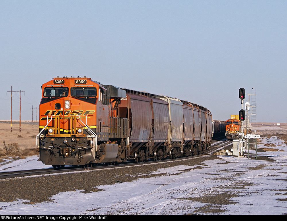 BNSF 8359